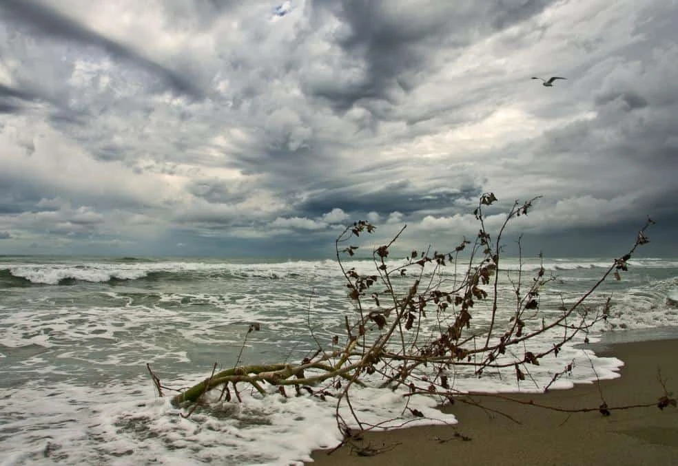 how-does-the-weather-affect-people-with-substance-use-disorders