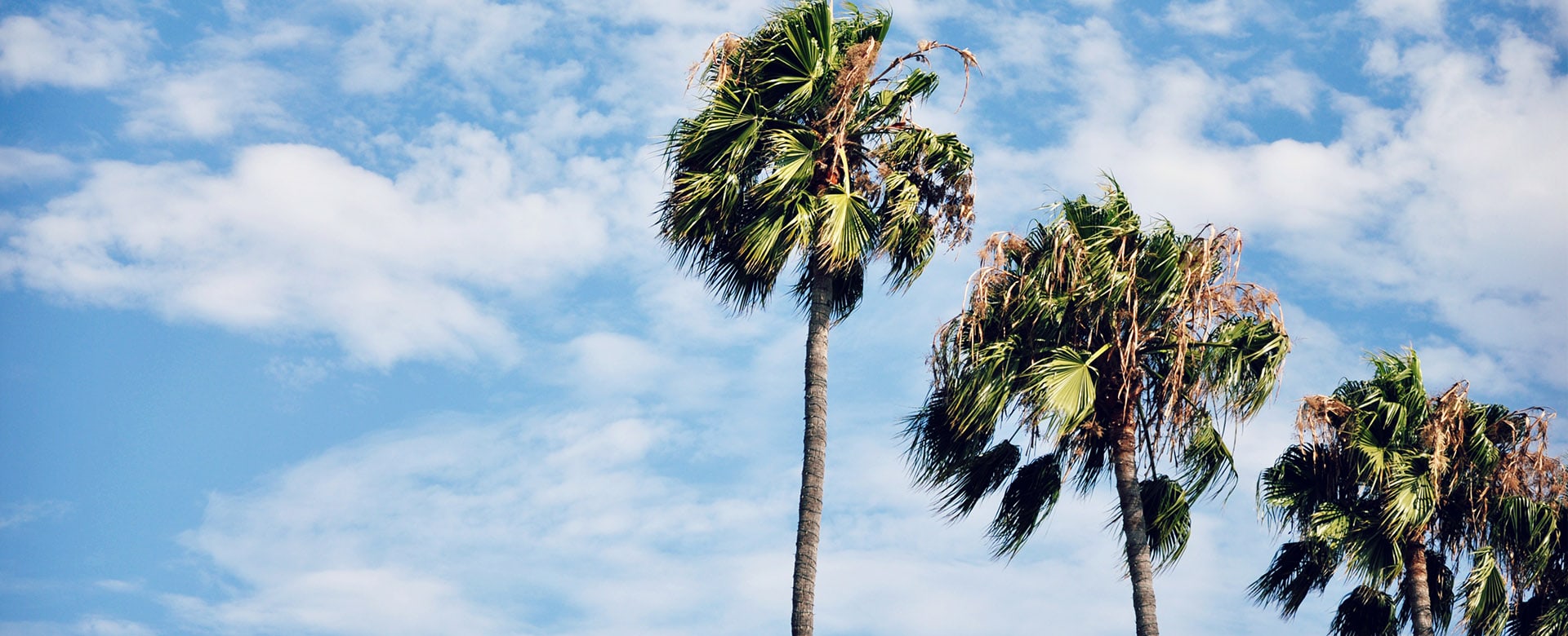 Peaceful treatment setting in San Diego